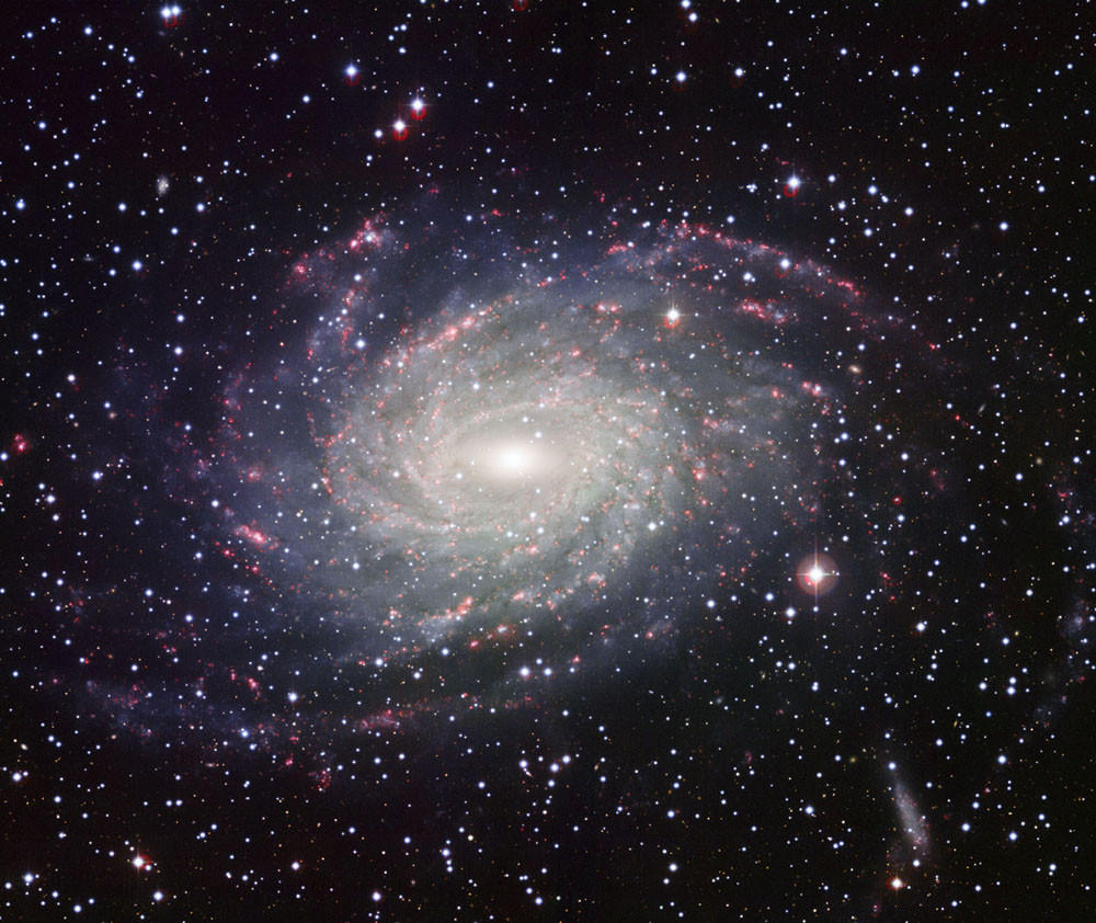 Twins! Distant Galaxy Looks Like Our Own Milky Way